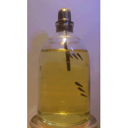 Flor de Sakkara( chacra 14)